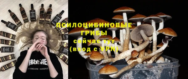 PSILOCYBIN Алзамай